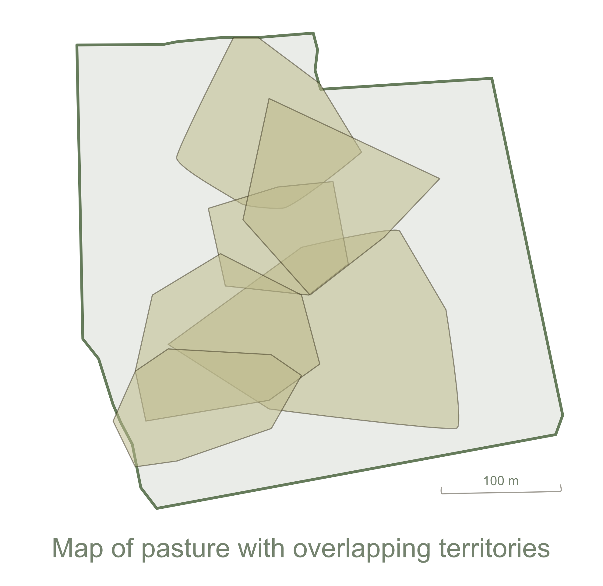 Map of pasture showing overlapping grasshopper sparrow territories